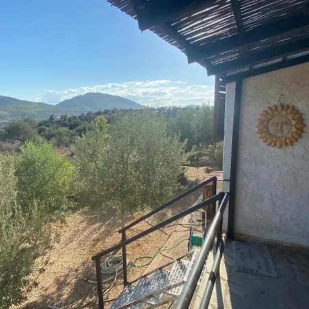Cosy Calm In Olive Trees With Sea View