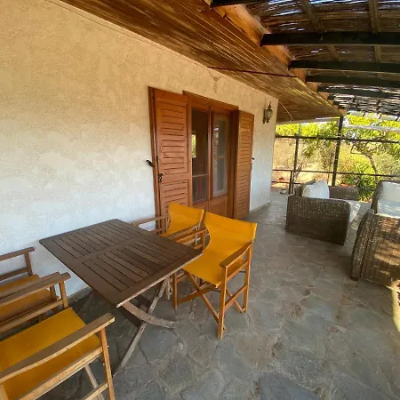 Cosy Calm In Olive Trees With Sea View 3* 埃尔米奥尼