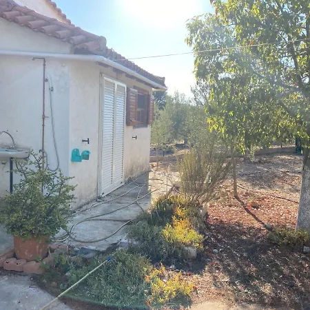 Cosy Calm In Olive Trees With Sea View 酒店 3*