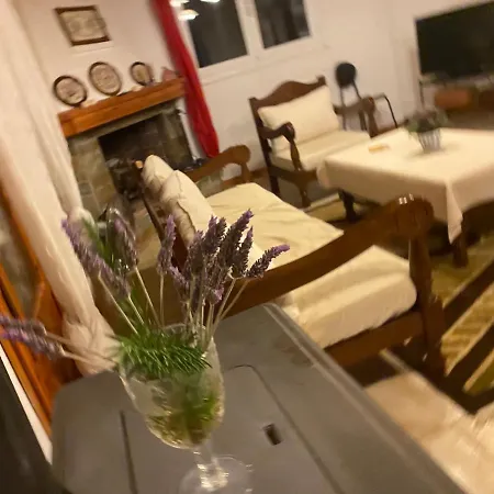 Cosy Calm In Olive Trees With Sea View 3*