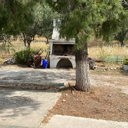 Cosy Calm In Olive Trees With Sea View 酒店 埃尔米奥尼