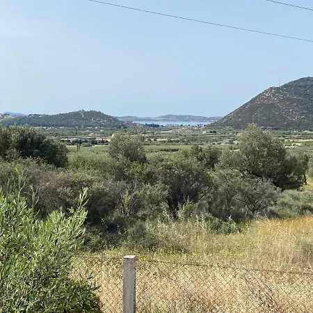酒店 Cosy Calm In Olive Trees With Sea View 3*