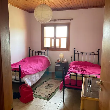 酒店 Cosy Calm In Olive Trees With Sea View 埃尔米奥尼