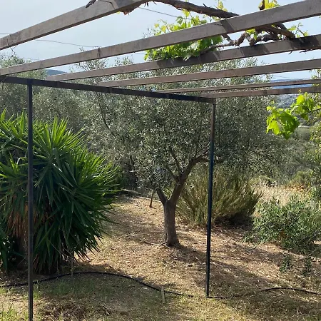 Cosy Calm In Olive Trees With Sea View 酒店 埃尔米奥尼