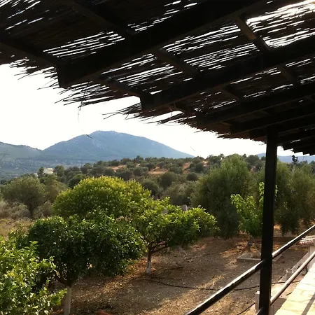 Cosy Calm In Olive Trees With Sea View 3* Hermione